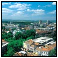 Vidin